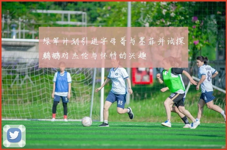 绿军计划引进字母哥与墨菲并试探鹈鹕对杰伦与怀特的兴趣